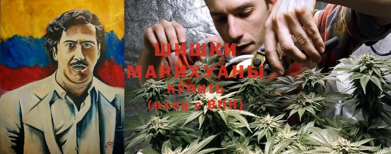 гидра как зайти  Кириши  МАРИХУАНА SATIVA & INDICA 